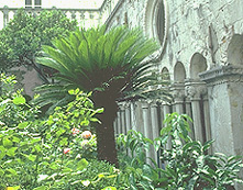 Cloister of St.Franziscus